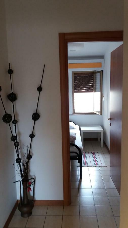 Easy Albergue Pisa